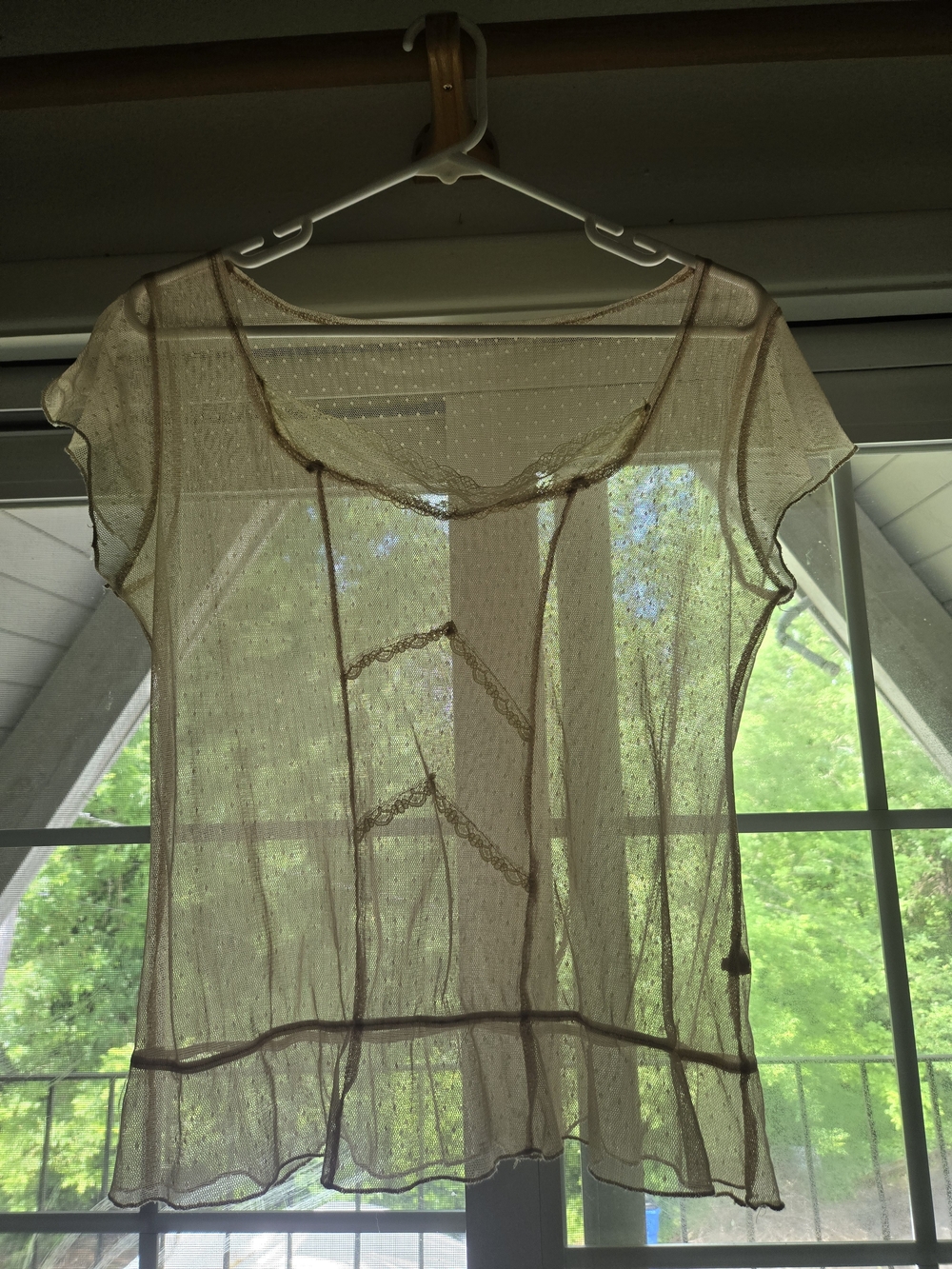 🍰 Sheer Taupe Lace-Trim Cap Sleeve Top M/L - Picture 1 of 11